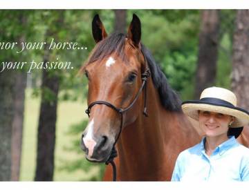 2016 Sponsor of Victory Land Dressage